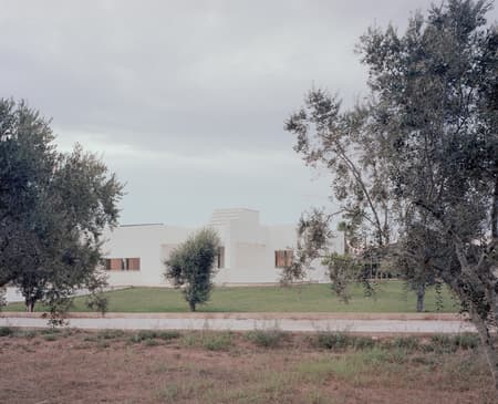 Olive House
